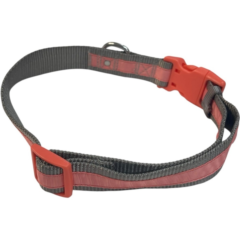 MS Jacquard Nylon Dog Collar Gray Blue Orange - Picture 2 of 10